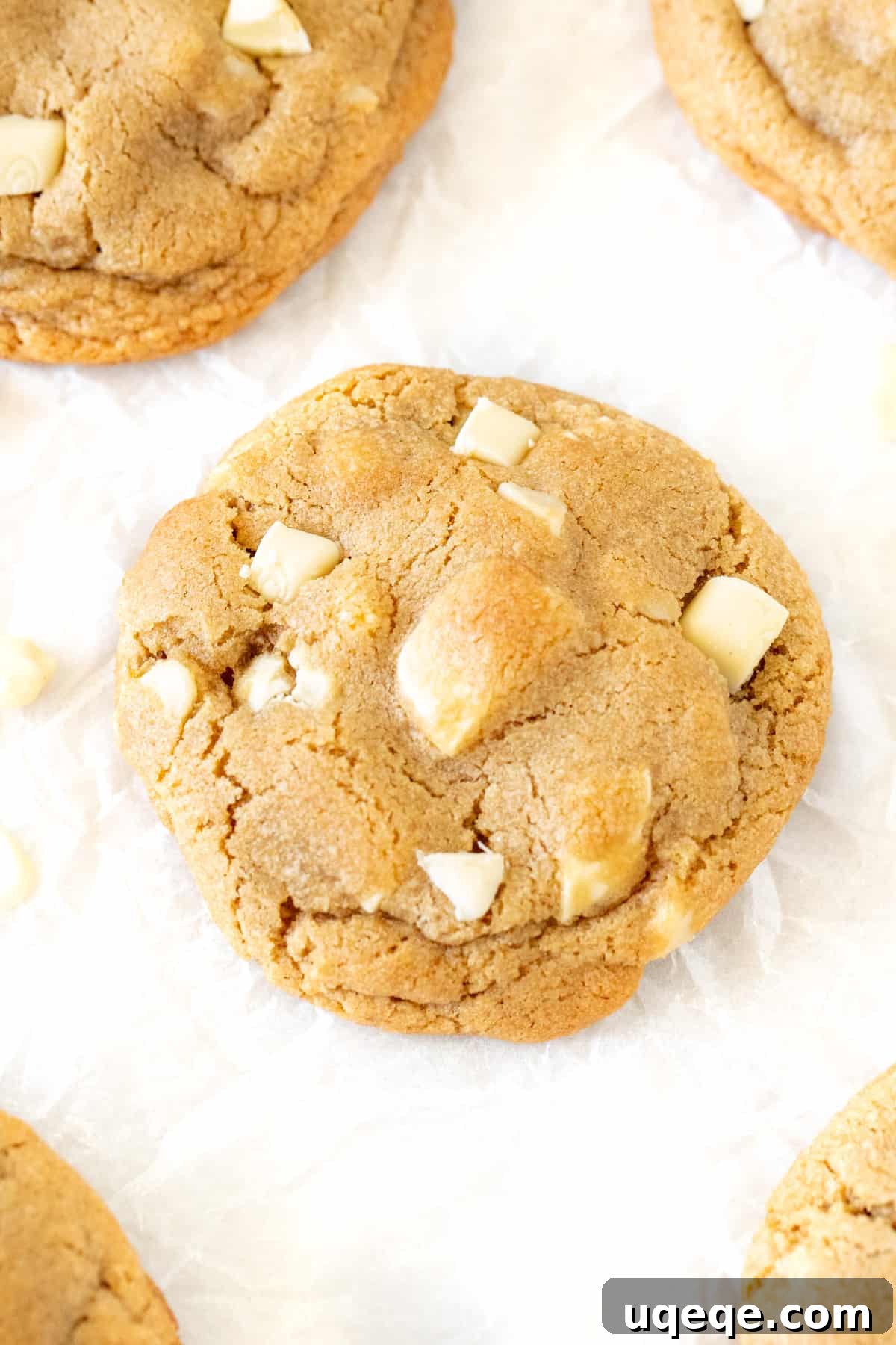 Gourmet White Chocolate Macadamia Cookies 3 White chocolate chunk macadamia cookies on baking paper