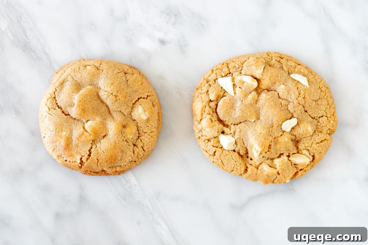 Gourmet White Chocolate Macadamia Cookies 4 2 white chocolate macadamia cookies, one chilled, one not
