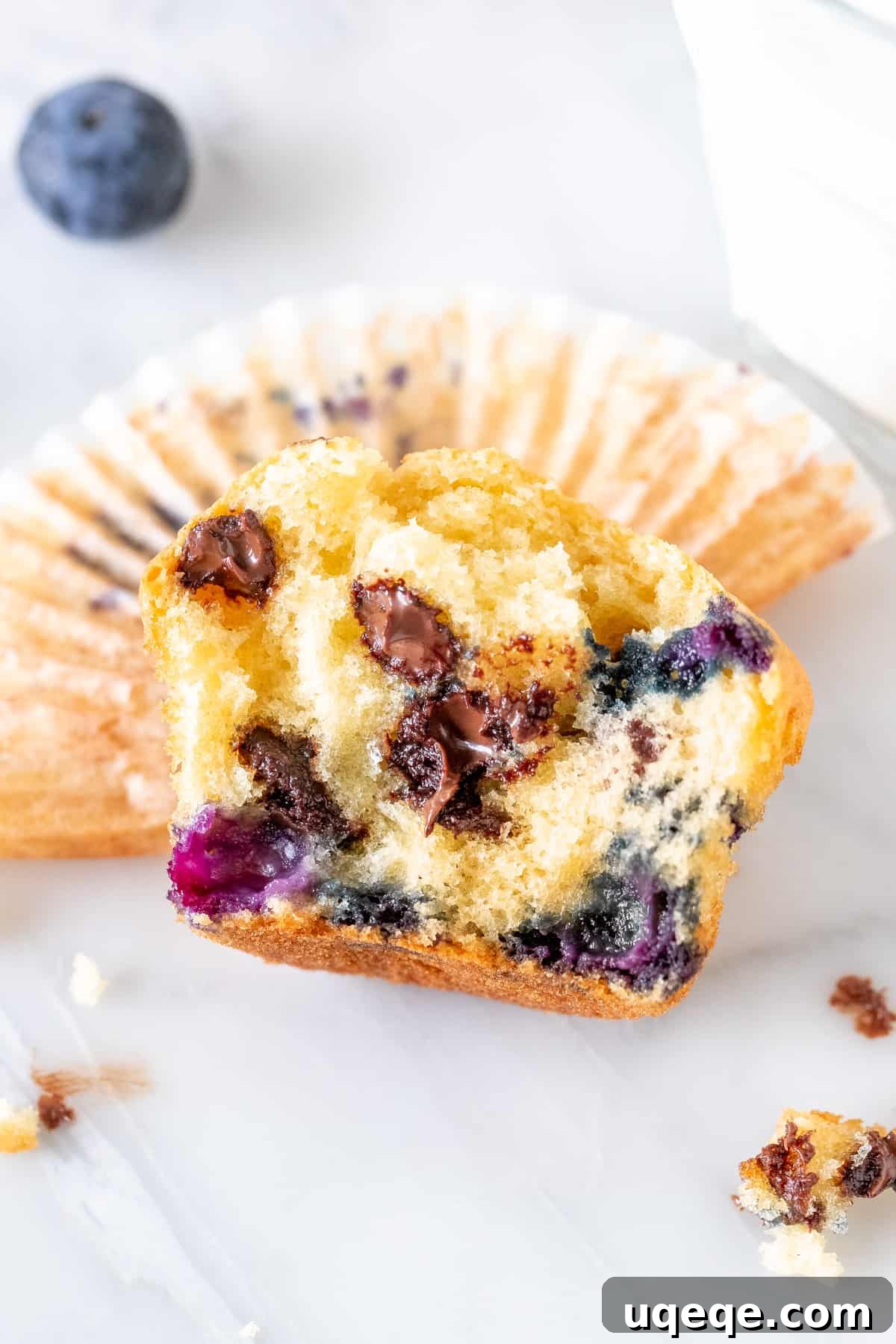 Luscious Blueberry Chocolate Chip Muffins 2 Perfectly baked blueberry chocolate chip muffins with domed tops