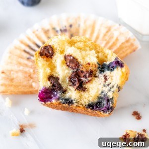 Luscious Blueberry Chocolate Chip Muffins 5 Half of a blueberry chocolate chip muffin, showcasing its moist interior