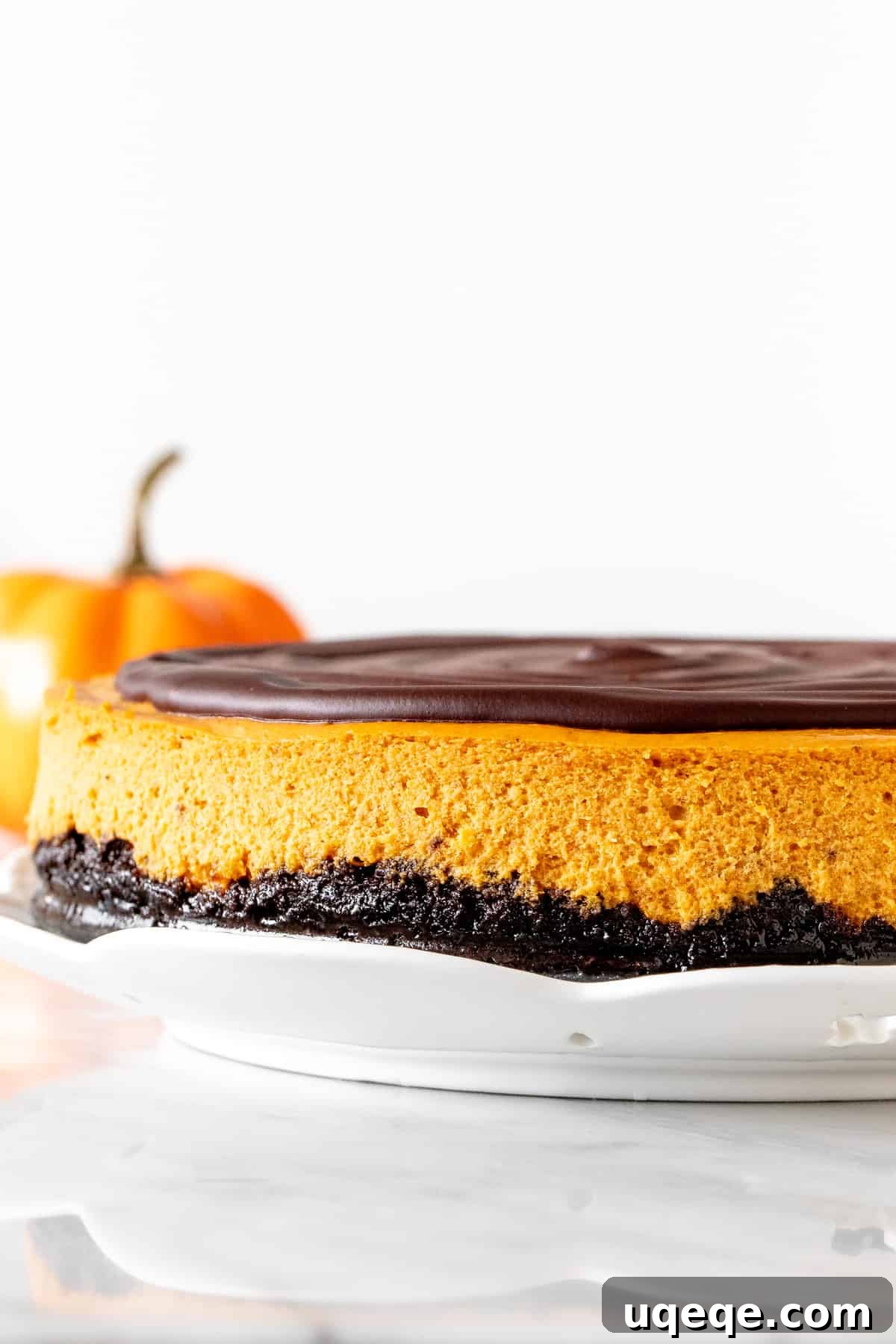 9-inch round pumpkin chocolate cheesecake, elegantly sliced