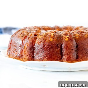 Rum-soaked cake, made in a fluted bundt pan, ready to serve.