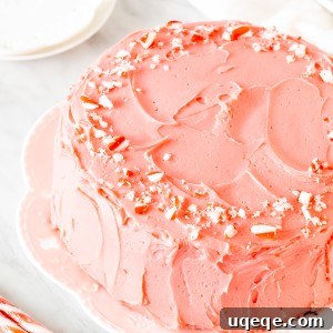 Chocolate cake frosted with pink peppermint frosting and decorated with crushed candy canes