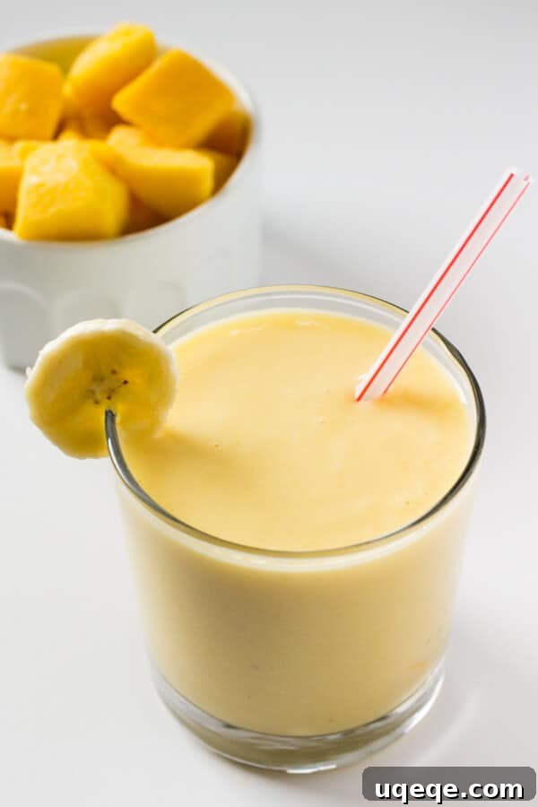 Thick, tropical & full of sunny fruit flavors to brighten even the dreariest of days - Make this Mango Fruit Smoothie for the perfect healthy pick-me up!