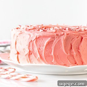 White Chocolate Peppermint Candy Cane Cake 5 2-layer round candy cane cake with peppermint frosting