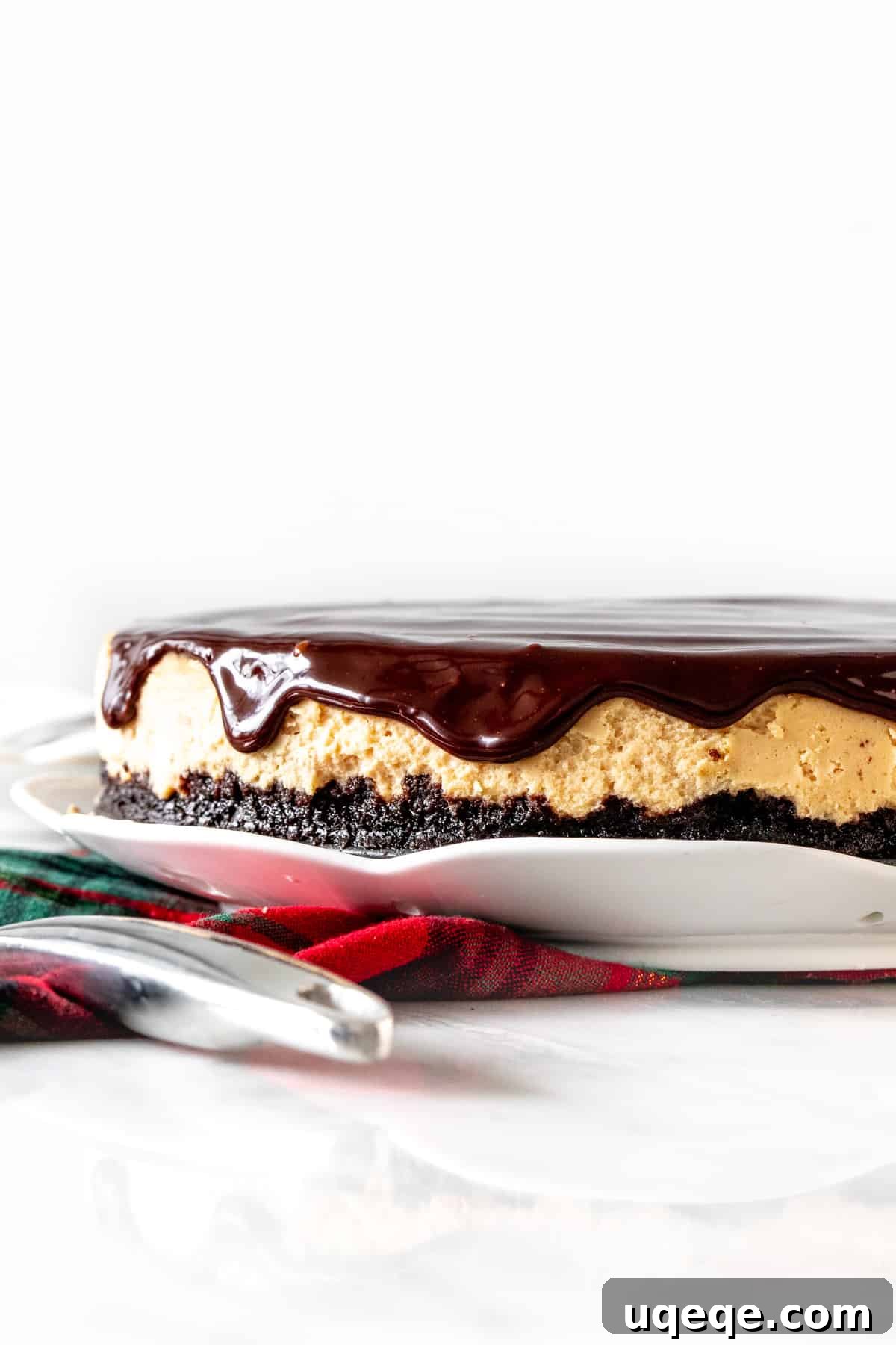 The Ultimate Baileys Irish Cream Cheesecake 3 9-inch round Irish cream cheesecake with chocolate on top