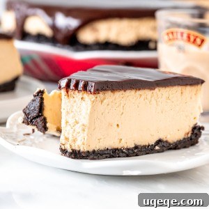 The Ultimate Baileys Irish Cream Cheesecake 5 Piece of cheesecake with chocolate on top