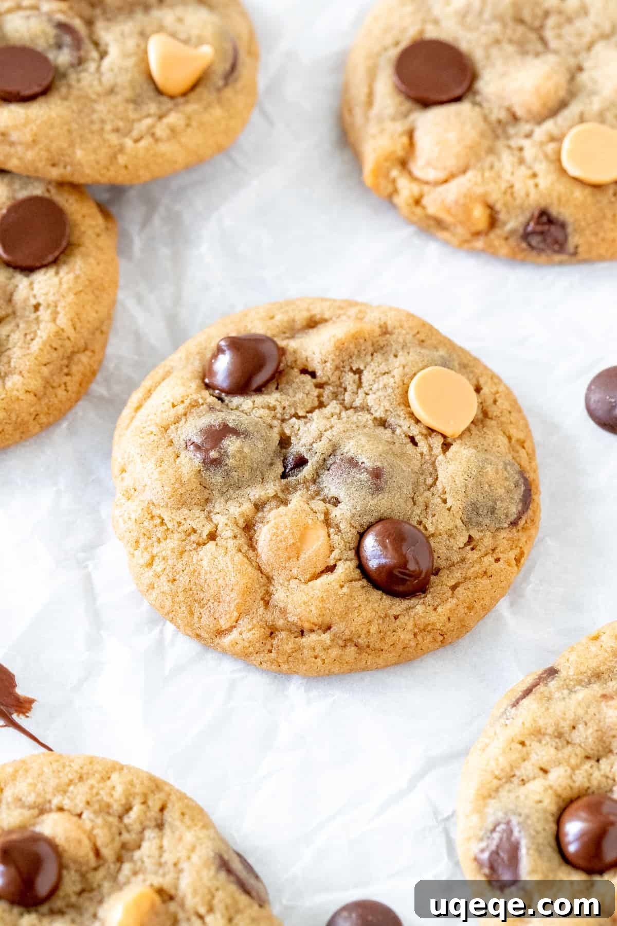 Perfectly Soft and Chewy Butterscotch Chocolate Chip Cookies 5 Close-up of baked butterscotch chocolate chip cookies displaying perfectly melted chips and soft centers