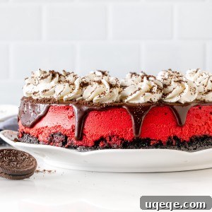 Velvety Oreo Dream Cheesecake 6 A 9-inch round red velvet cheesecake with Oreo crust and topped with chocolate ganache, whipped cream, and crushed Oreos, ready to be served.