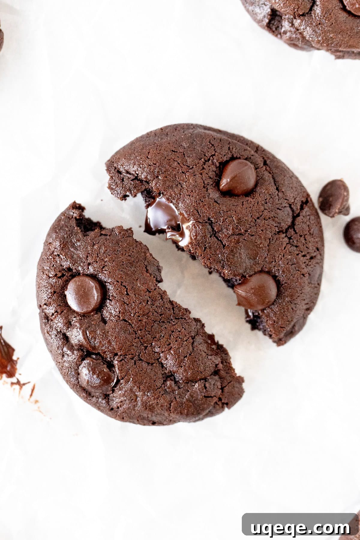 Decadent Double Chocolate Cookies 4 A perfectly soft double chocolate cookie broken in half, showcasing its moist, chewy interior and melty chocolate chips.
