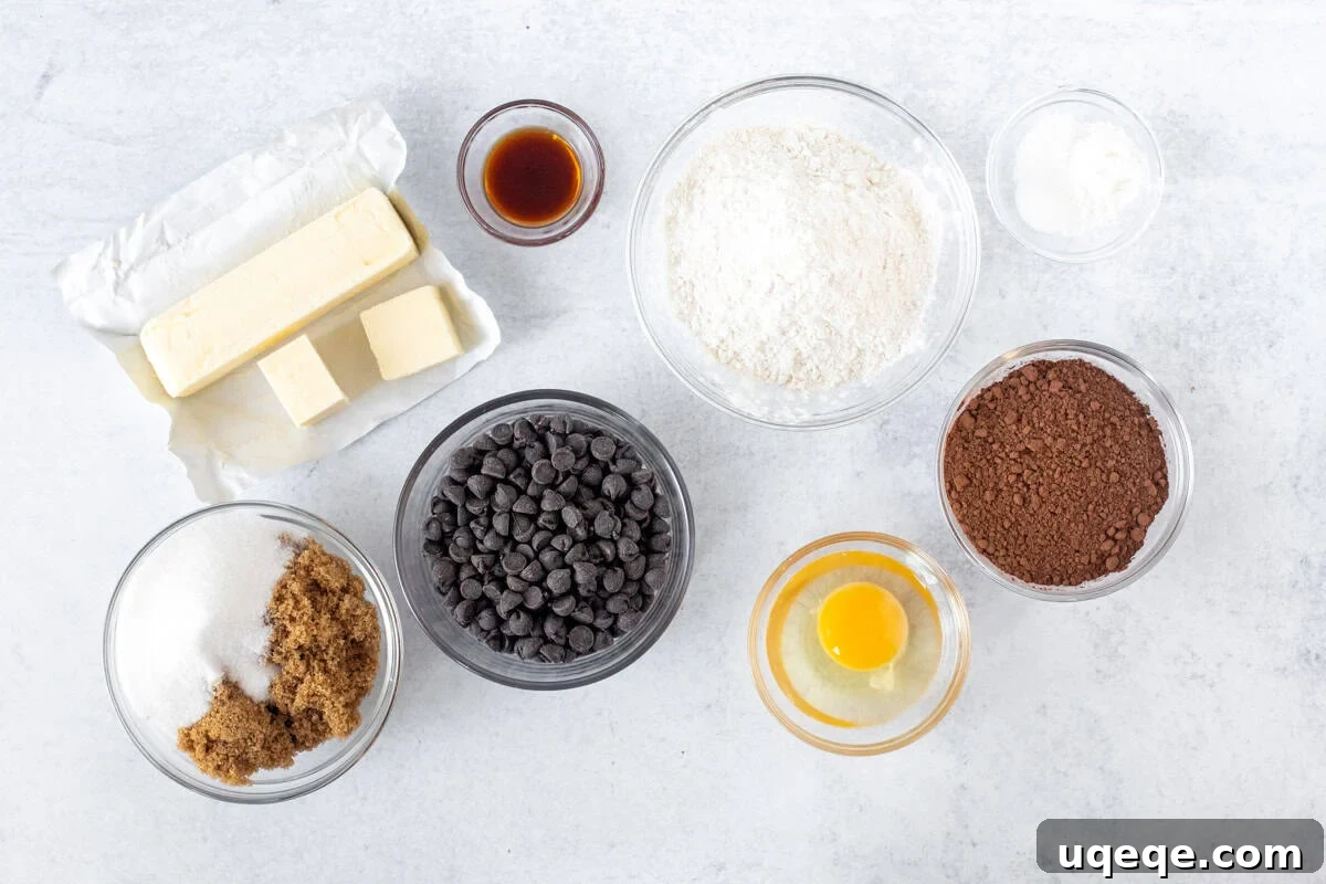Decadent Double Chocolate Cookies 5 All the necessary ingredients for making double chocolate chip cookies laid out on a clean surface: flour, cocoa powder, sugars, butter, eggs, chocolate chips, and other dry ingredients.