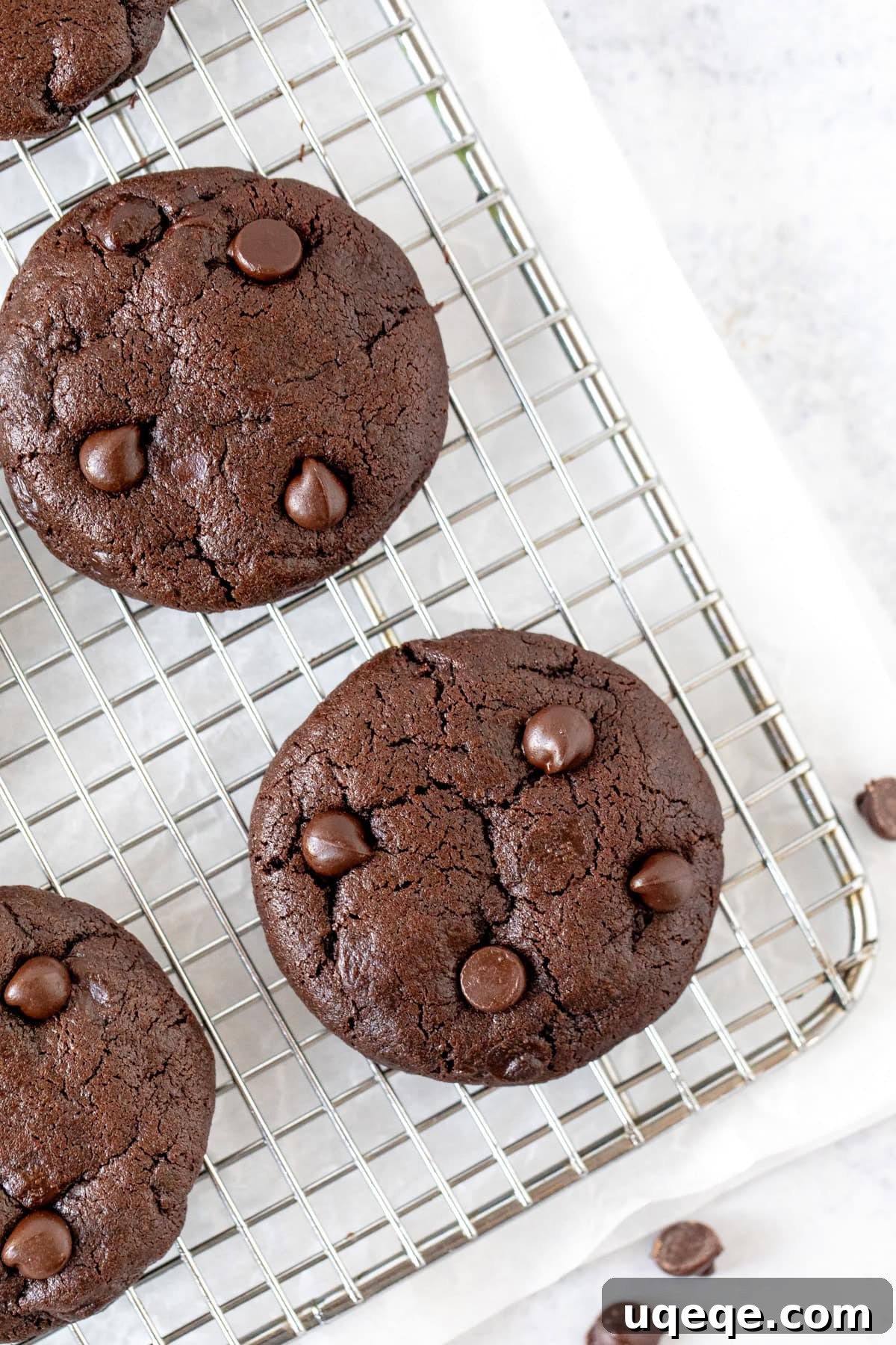 Decadent Double Chocolate Cookies 7 Freshly baked double chocolate chip cookies cooling on a wire rack, with some extra chocolate chips melted on top.