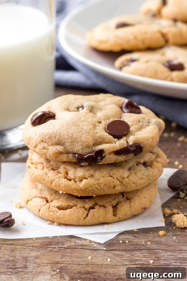 No-Flour Peanut Butter Bliss 2 A stack of soft, chewy flourless peanut butter cookies with chocolate chips, ready to be enjoyed.