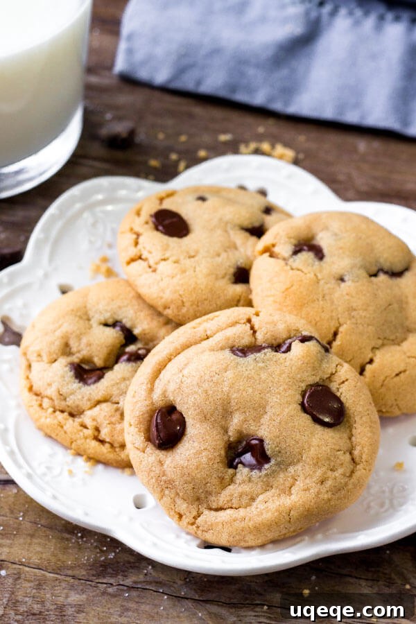 No-Flour Peanut Butter Bliss 3 Flourless peanut butter cookies with chocolate chips are gluten free, dairy free & only require 5 ingredients, shown cooling on a rack.