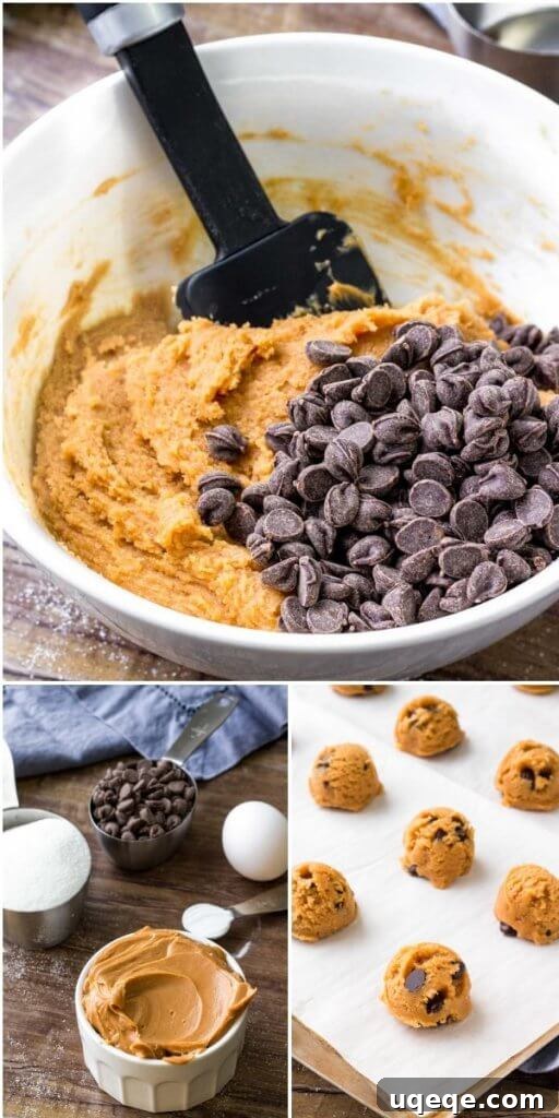 No-Flour Peanut Butter Bliss 4 Flourless Peanut Butter Cookie Recipe - so easy & only 5 ingredients, showcasing the perfect texture.