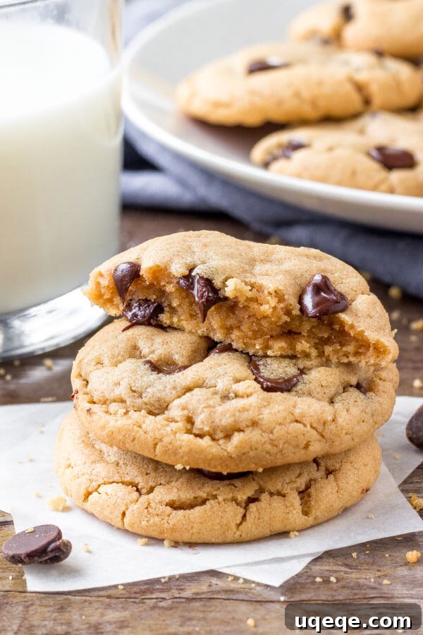 No-Flour Peanut Butter Bliss 5 Easy peanut butter cookie recipe - only 5 ingredients, completely flourless, soft, chewy & thick with chocolate chips.
