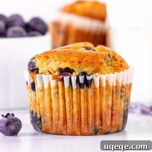 Close-up of a perfectly baked banana blueberry muffin, moist and inviting, served with a refreshing glass of milk.