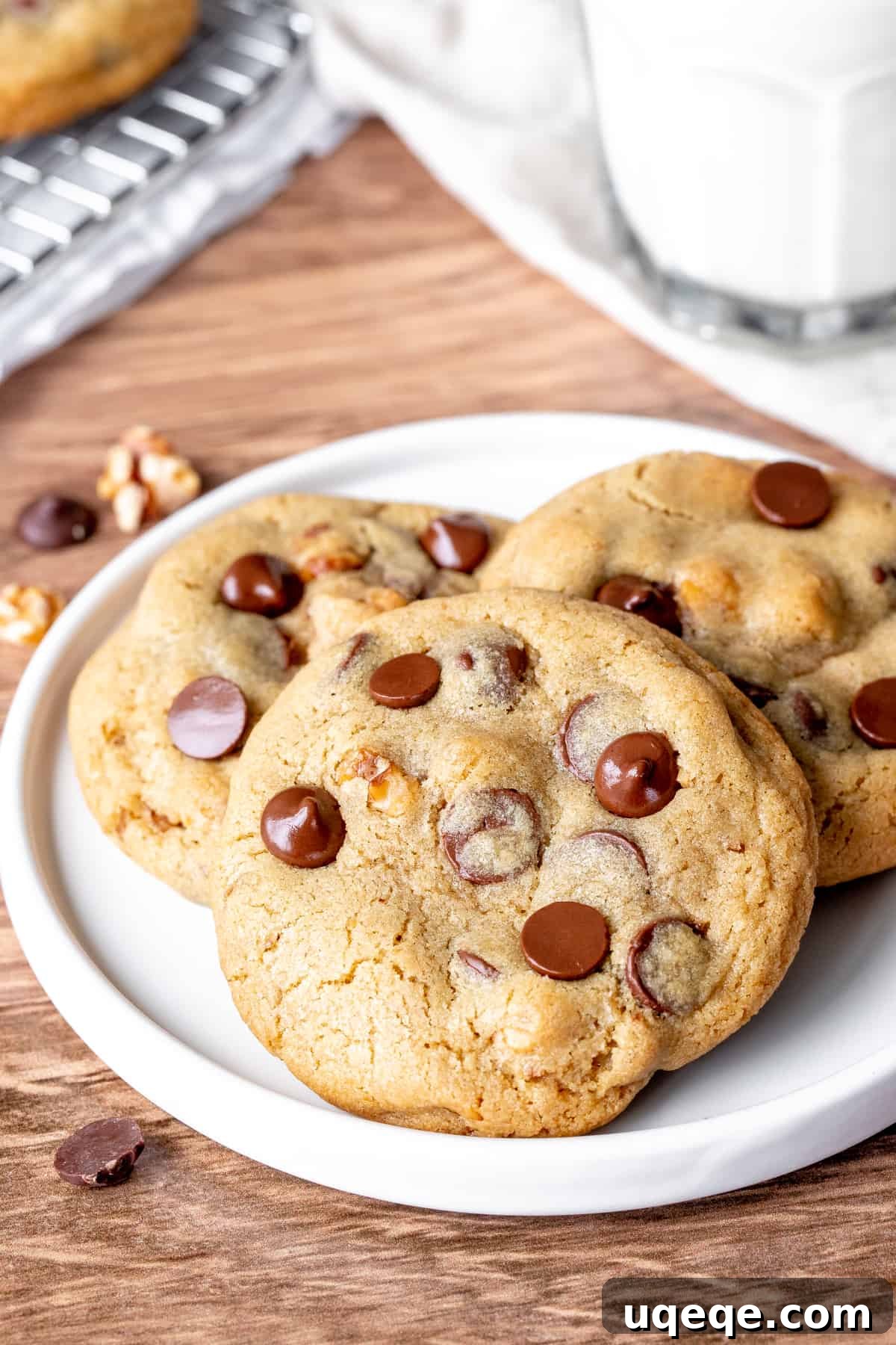 Decadent Chocolate Walnut Delights 4 A beautiful plate showcasing three perfectly baked chocolate chip walnut cookies, highlighting their delicious texture and ingredients