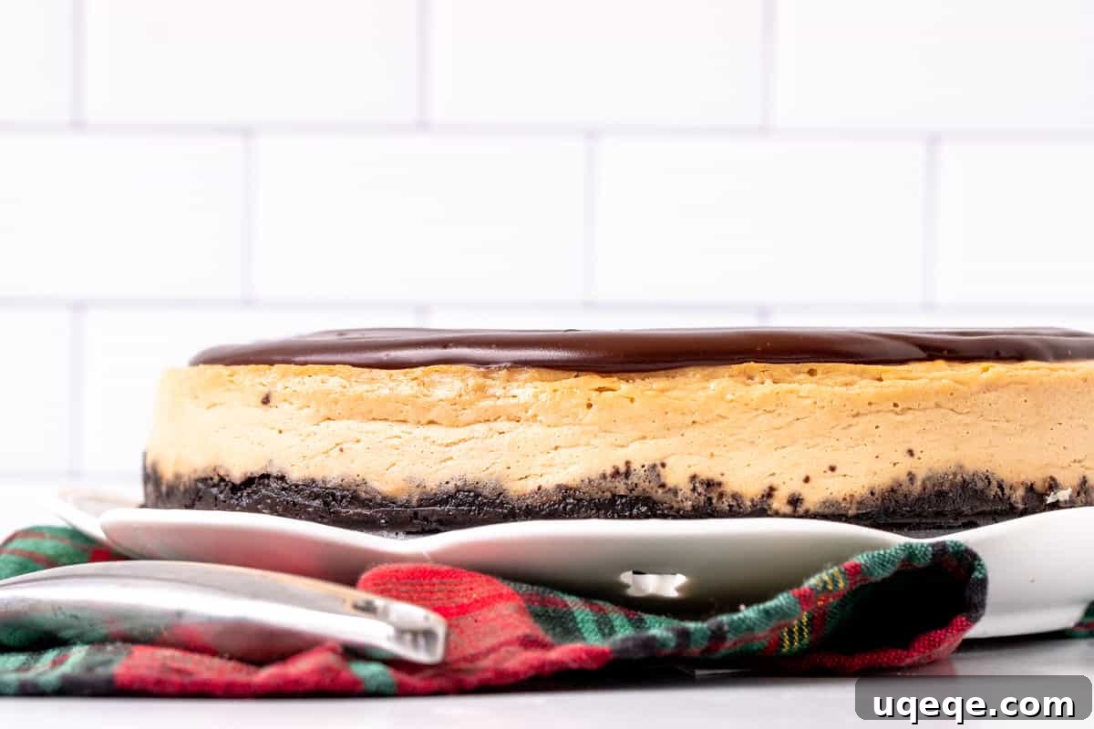 Oreo Crusted Kahlua Cheesecake 2 9-inch round coffee liqueur cheesecake ready to be served