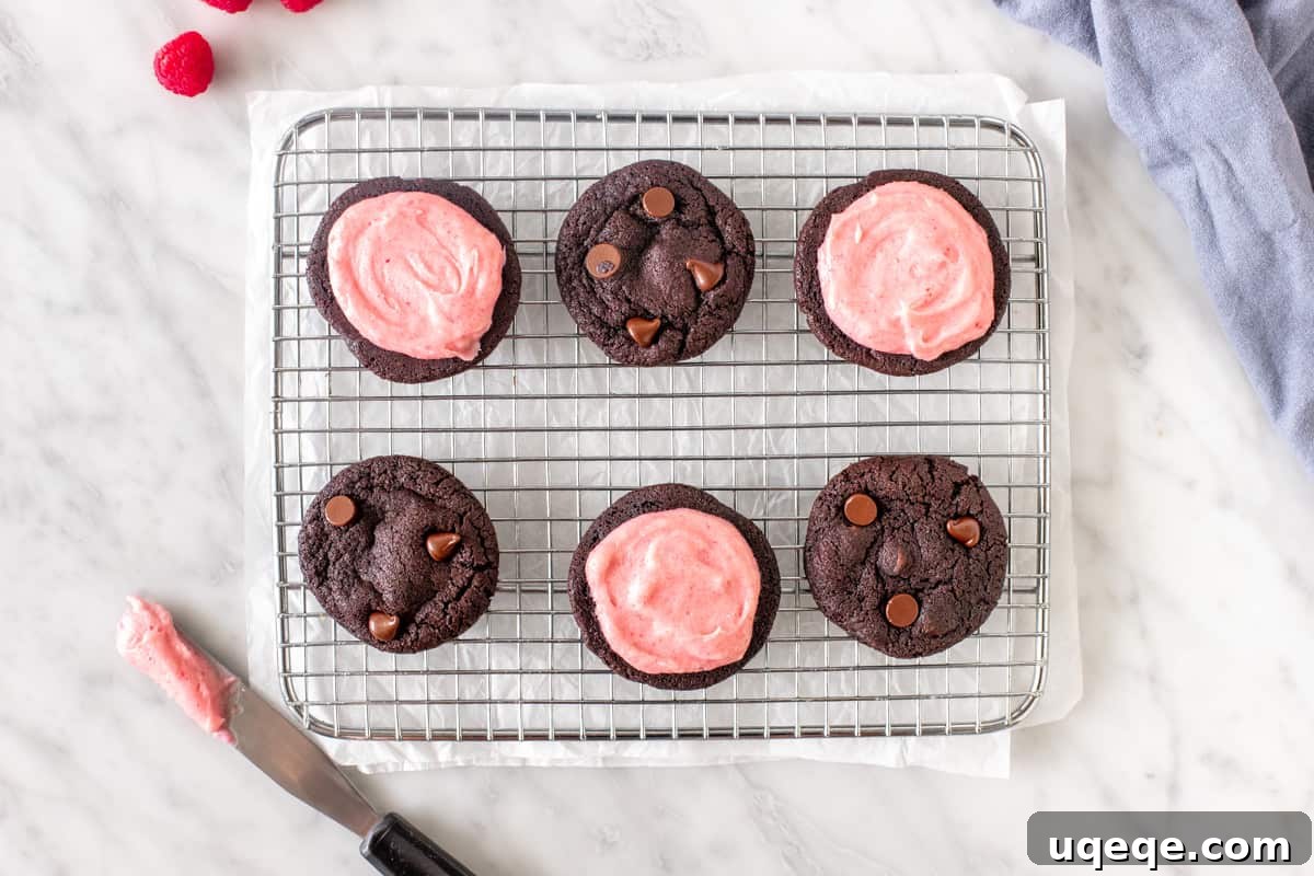 Decadent Chocolate Raspberry Sandwich Cookies 3 Six freshly baked chocolate cookies arranged on a wire rack, waiting to be paired with the vibrant pink raspberry cream cheese frosting.