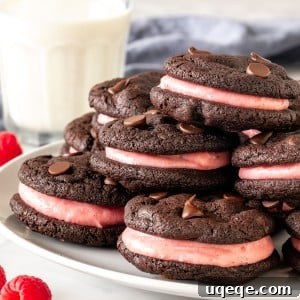 Decadent Chocolate Raspberry Sandwich Cookies 6 Plate of chocolate raspberry sandwich cookies