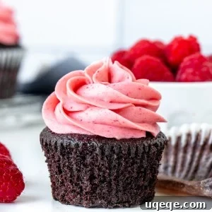 Decadent Chocolate Raspberry Cupcakes 6 A chocolate cupcake with raspberry frosting and the muffin paper peeled off.