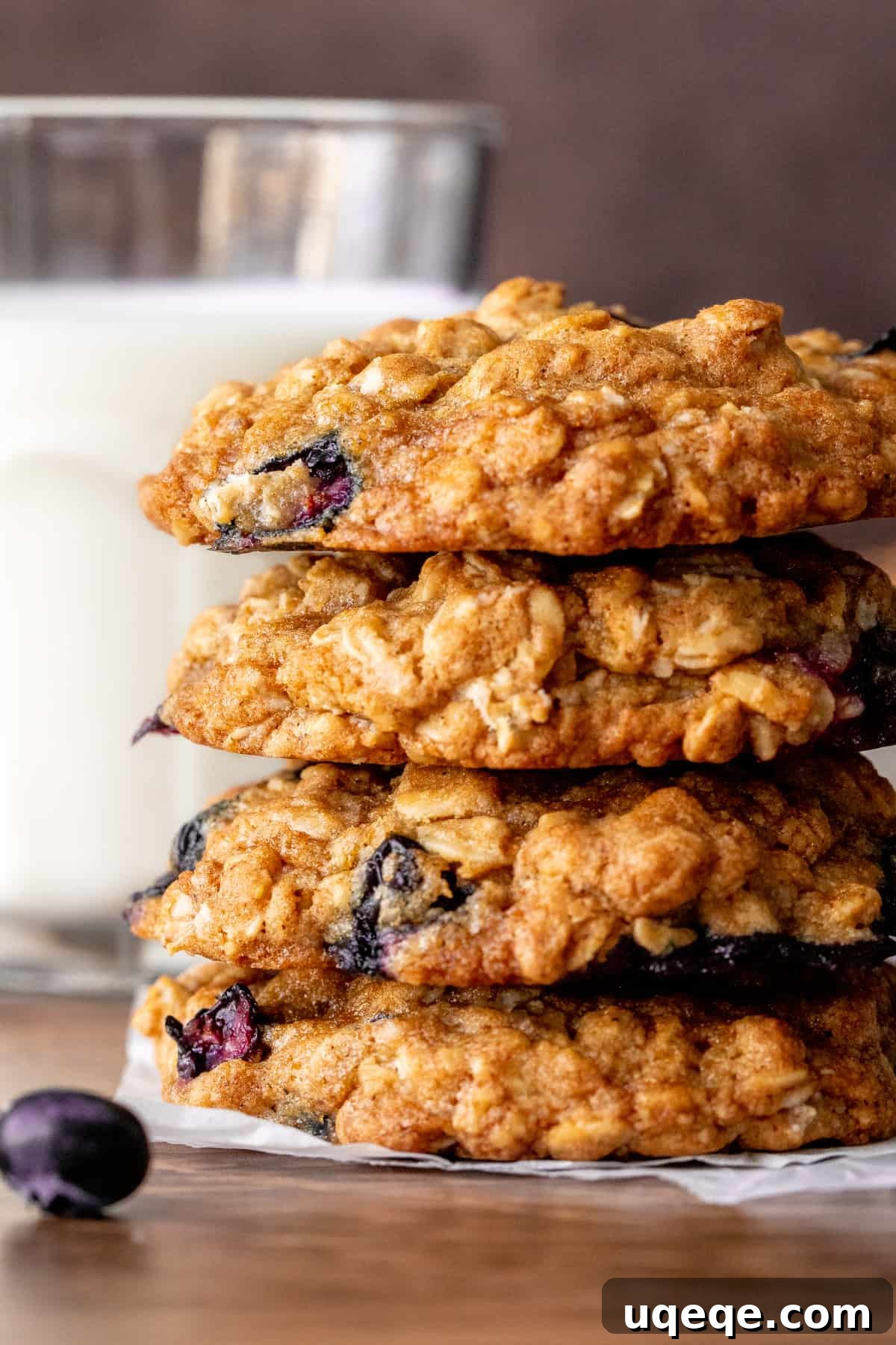Blueberry Oat Delights 2 Stack of 4 thick, chewy blueberry oatmeal cookies with cinnamon hints