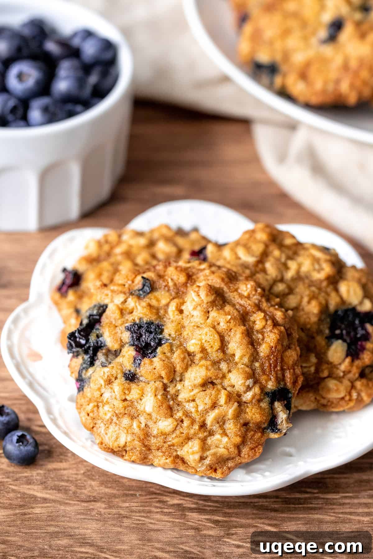 Blueberry Oat Delights 3 Plate of 4 perfectly baked blueberry oatmeal cookies ready to be served