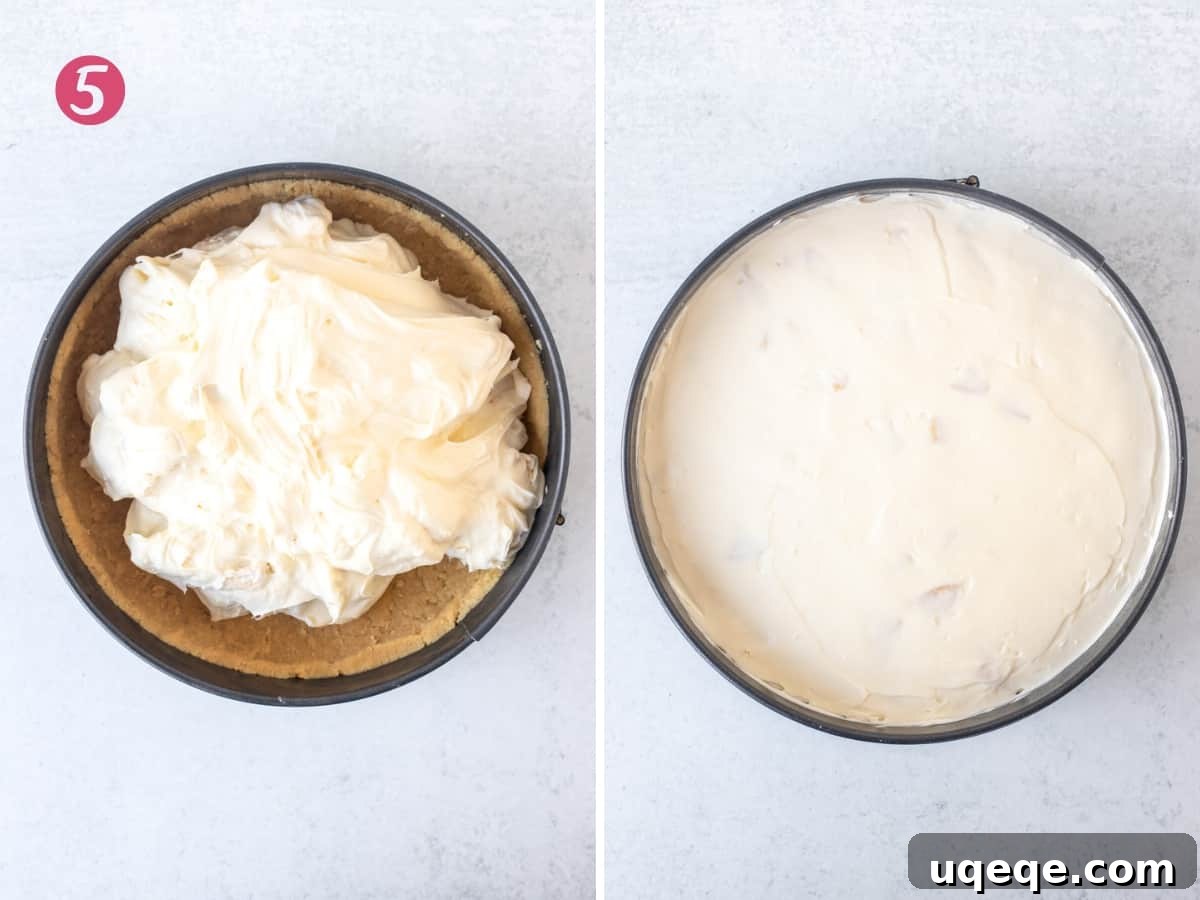 Ultimate Golden Oreo Cheesecake 8 A springform pan with the prepared Golden Oreo crust being filled with the smooth no-bake cheesecake mixture, followed by the fully assembled cheesecake ready for chilling.