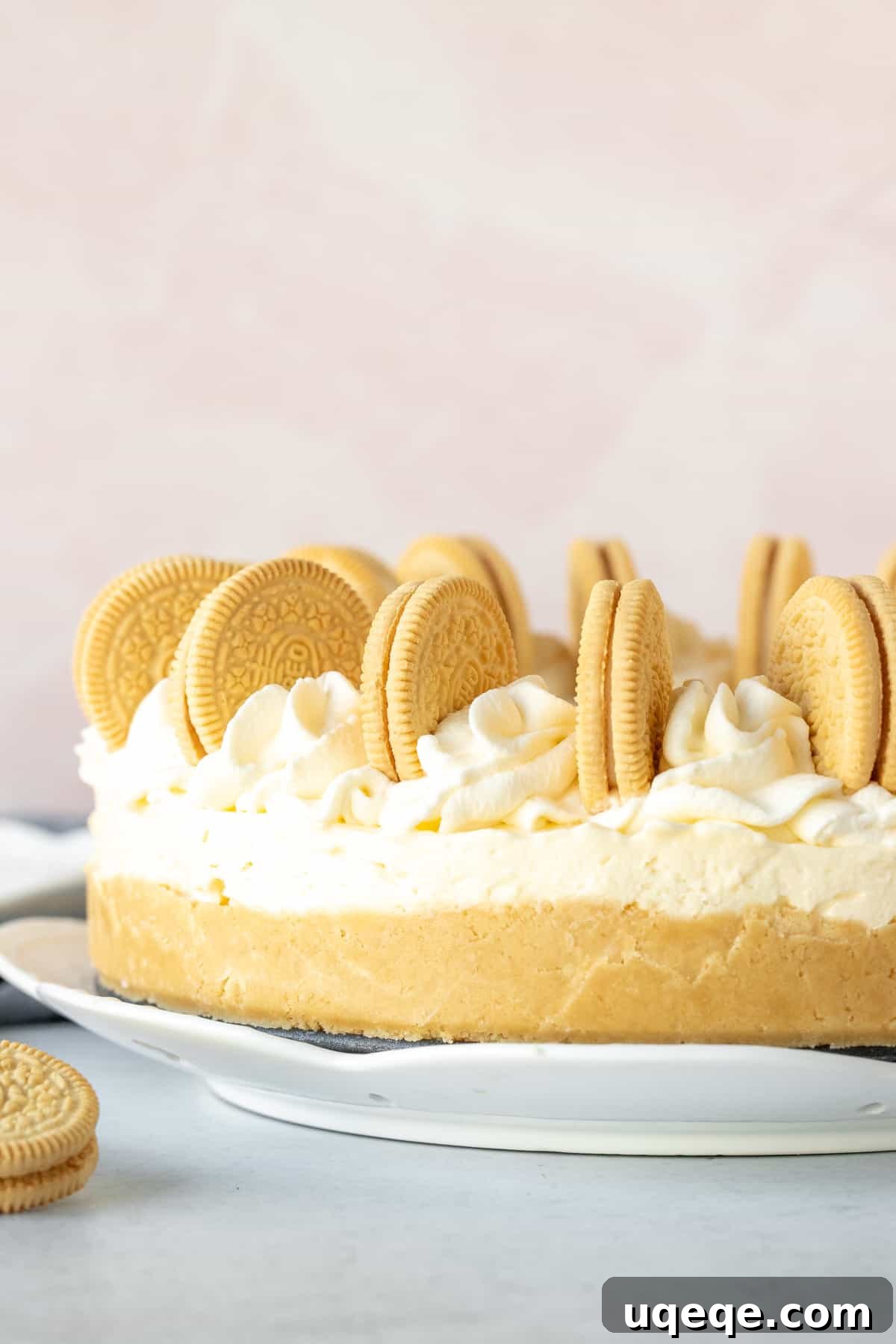 Ultimate Golden Oreo Cheesecake 9 A stunning 9-inch round no-bake Golden Oreo Cheesecake, elegantly decorated with piped whipped cream borders and whole Golden Oreo cookies on top.
