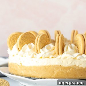 A beautifully decorated 9-inch round no-bake Golden Oreo Cheesecake, garnished with whipped cream and cookies, ready to be served.