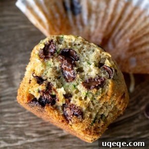A freshly baked zucchini chocolate chip muffin broken in half, showing its moist interior