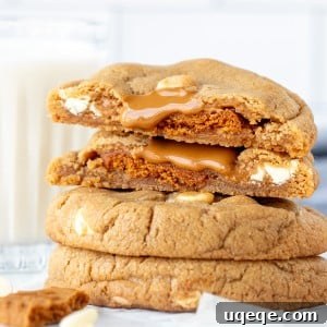 Biscoff Cookies Bursting with Cookie Butter 9 Stack of Biscoff cookies, with top cookie broken in half, revealing gooey center.