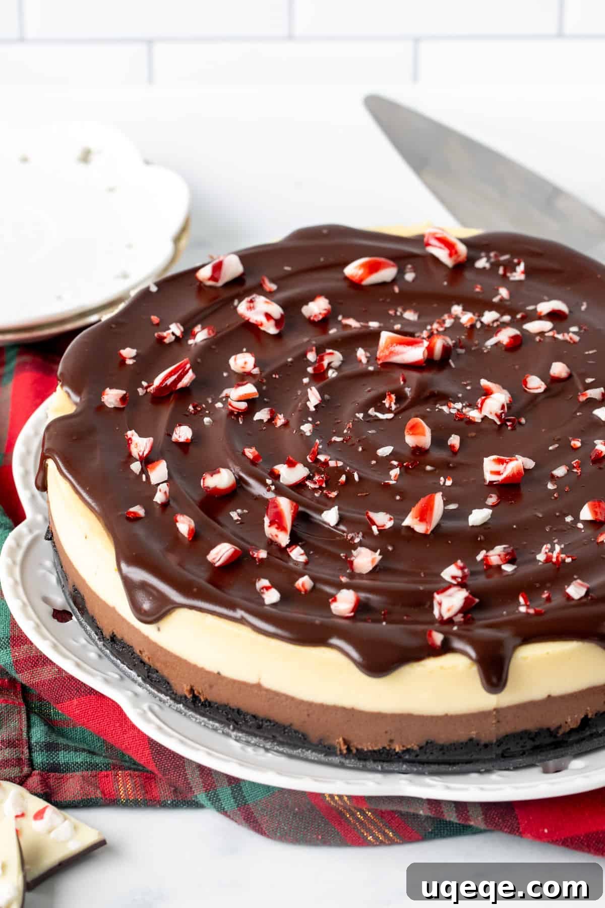 Candy Cane Crunch Cheesecake 9 A stunning 9-inch round layered chocolate peppermint cheesecake, generously topped with a smooth chocolate ganache and sprinkled with festive crushed candy canes, ready to be served.