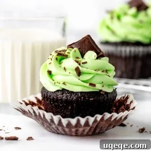 Chocolate cupcake with mint frosting and a square of chocolate on top