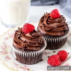 Two chocolate cupcakes on a plate with glass of milk