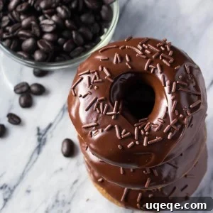 Coffee-Kissed Baked Doughnuts 5 A single Baked Mocha Doughnut, coffee-flavored cake with a rich chocolate glaze
