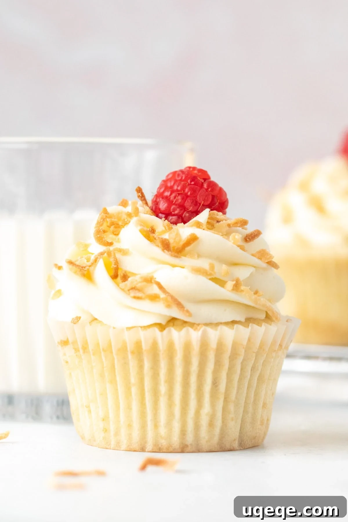 Tropical Cloud Cupcakes 2 Coconut cupcake with coconut frosting, decorated with toasted coconut and a raspberry