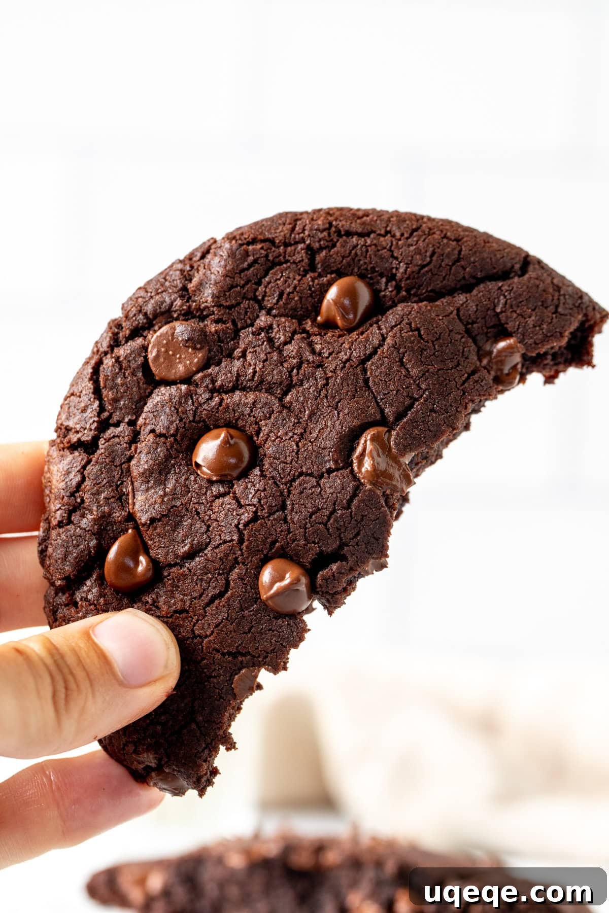 Solo Chocolate Delight 7 A delectable piece of giant double chocolate cookie, showcasing its rich, soft interior and melty chocolate chips, inviting a taste.