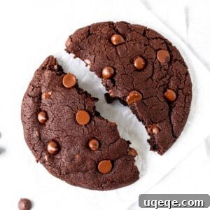 Solo Chocolate Delight 9 Single serving chocolate cookie, broken in half