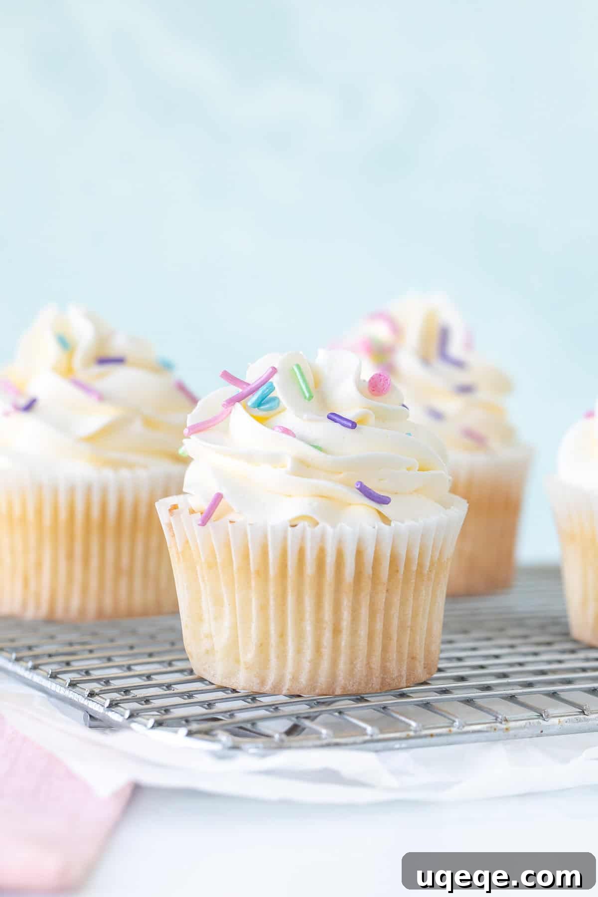 Silky Swiss Buttercream 2 Vanilla cupcakes piped with beautiful Swiss meringue buttercream frosting
