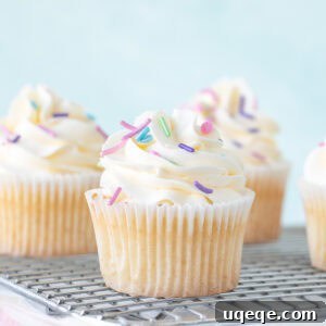Silky Swiss Buttercream 10 Vanilla cupcakes frosted with Swiss meringue buttercream frosting