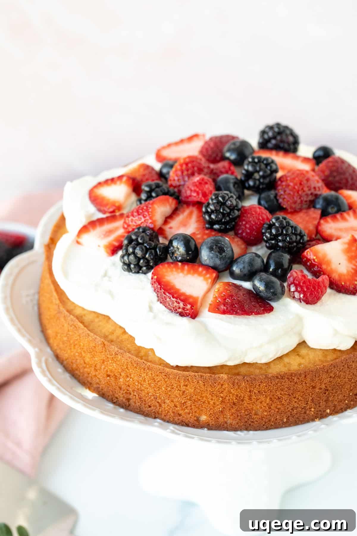 Velvet Berry Bliss Cake 8 A stunning single-layer Berries and Cream Cake, generously topped with fluffy white whipped cream and a colorful assortment of fresh mixed berries.