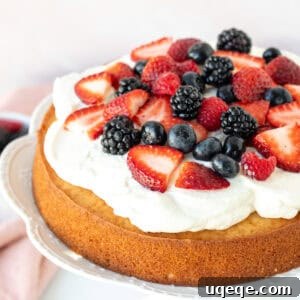 Single layer berries and cream cake, topped with mixed berries
