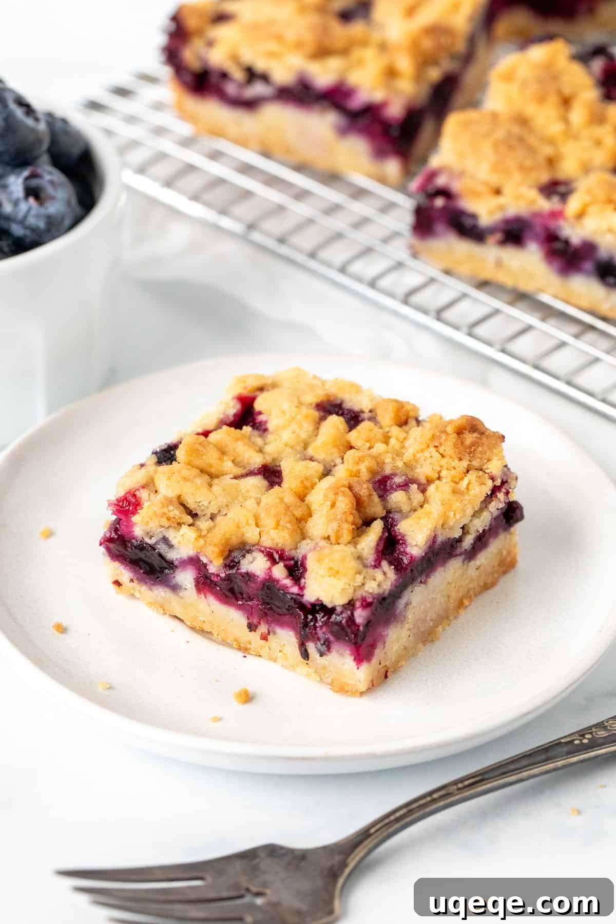 Golden Blueberry Streusel Bars 3 Two blueberry crumb bars on a white plate, highlighting their juicy filling and golden topping