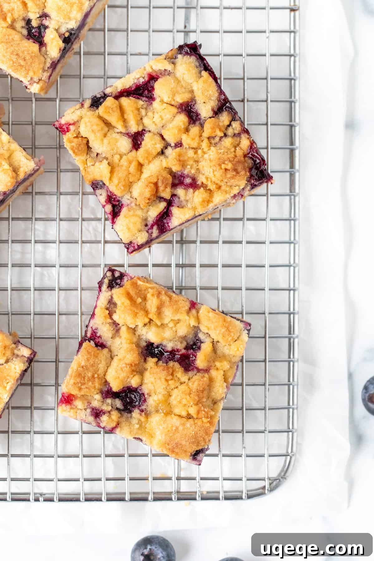 Golden Blueberry Streusel Bars 8 Freshly baked blueberry crumb bars on a cooling rack, glistening with juicy blueberries