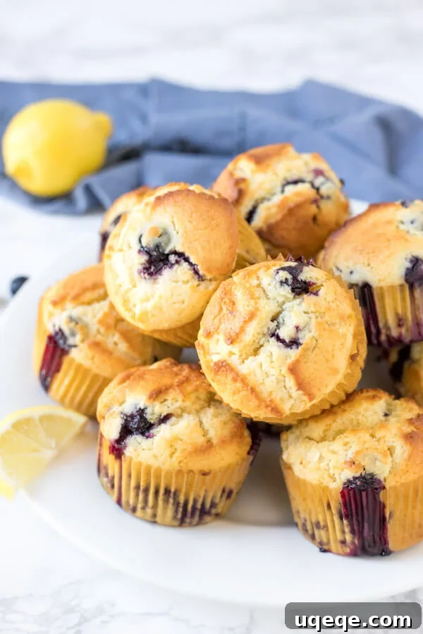 A plate of lemon blueberry muffins with golden tops and tons of blueberries. 