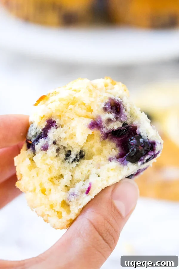 Sunshine Lemon Blueberry Muffins 5 A lemon blueberry muffin broken in half to show the moist middle with juicy berries.