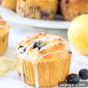 Lemon blueberry muffins that are moist & fluffy. They have a soft & fluffy texture, delicious lemon flavor & tons of juicy berries.