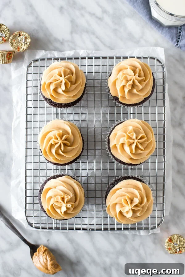 Chocolate Peanut Butter Dream Cupcakes 3 Six chocolate cupcakes topped with generous swirls of peanut butter frosting, neatly arranged on a cooling rack, viewed from above.